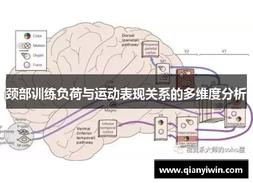 颈部训练负荷与运动表现关系的多维度分析